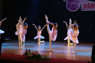 專業(yè)攝影攝像服務(wù)，定格新會最美瞬間